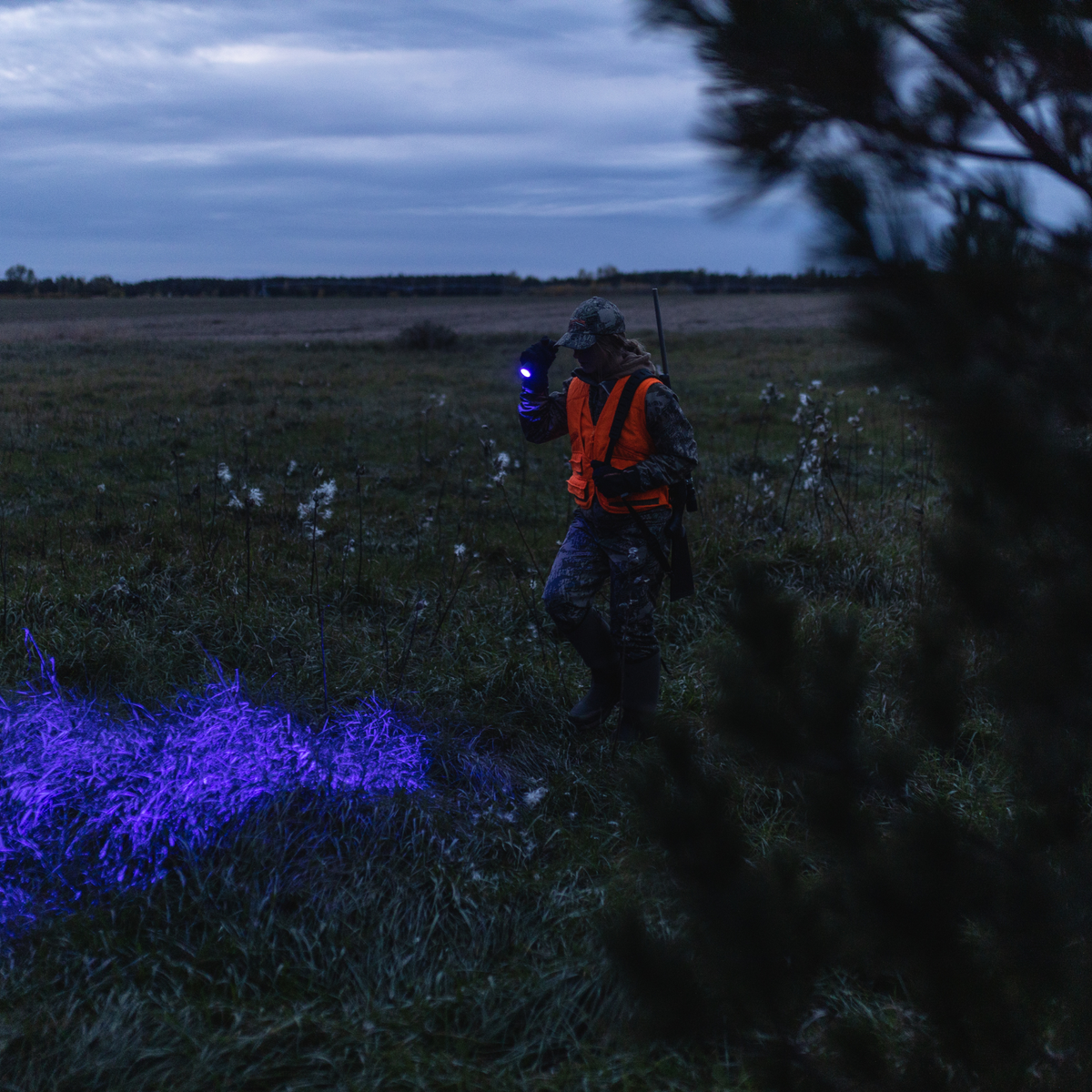 Hunter crossing a field at night with a Ledlenser flashlight