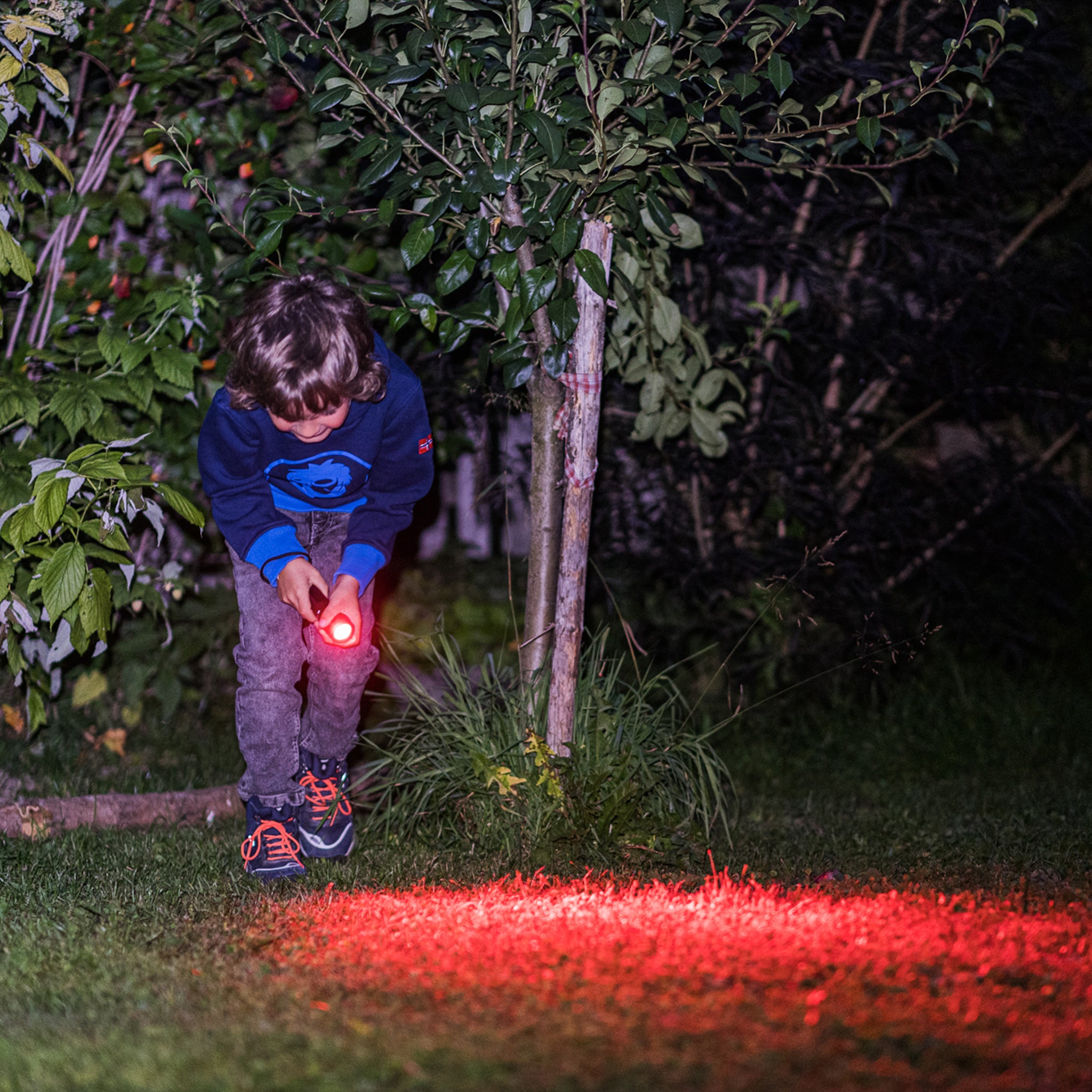 children's rechargeable flashlight Ledlenser Kidbeam4 LED Flashlight (Purple)